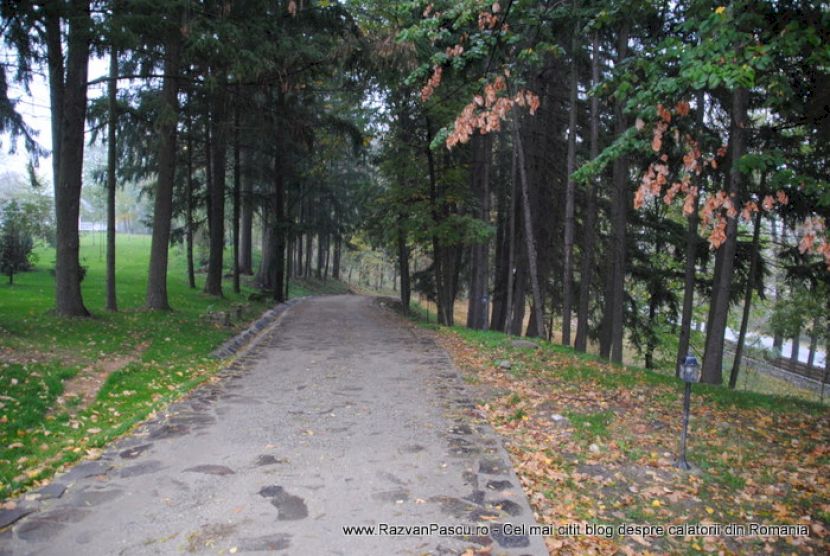 Alee pietruită printre arbori și garduri din lemn