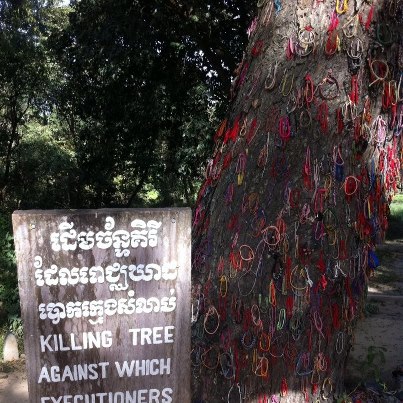 Trunchi acoperit cu brățări colorate lângă un panou cu inscripția KILLING TREE.