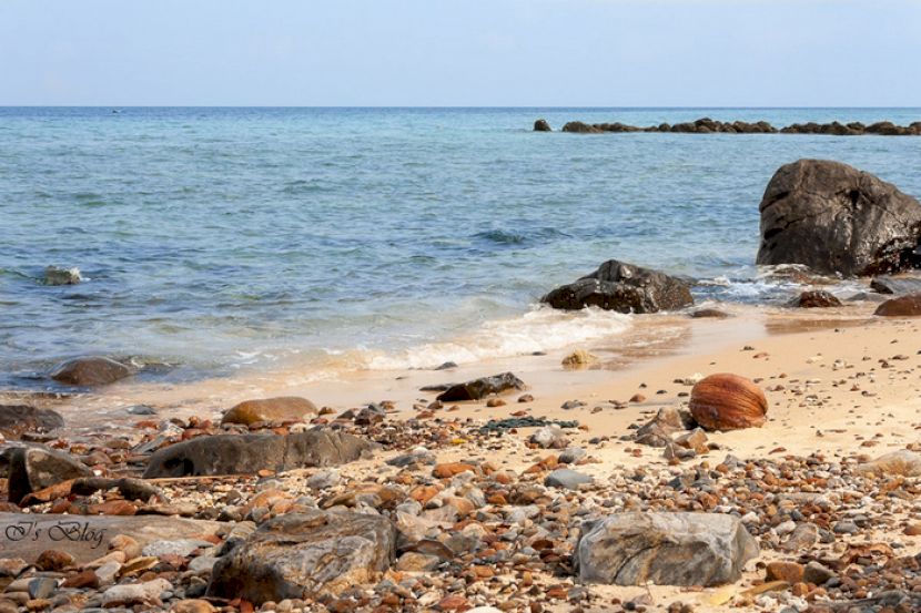 Stânci și nucă de cocos pe o plajă