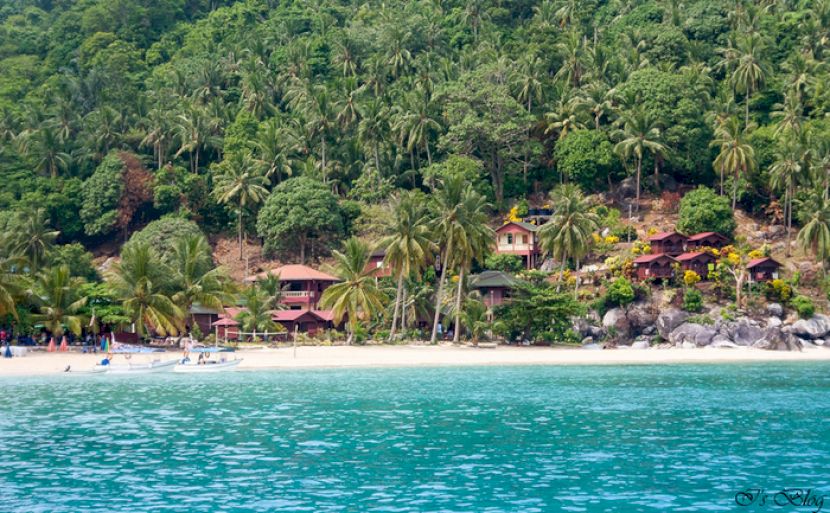 Case printre palmieri pe un mal tropical
