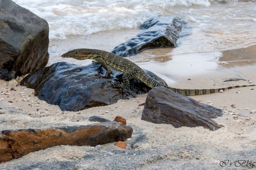 Stânci spălate de valuri pe o plajă tropicală
