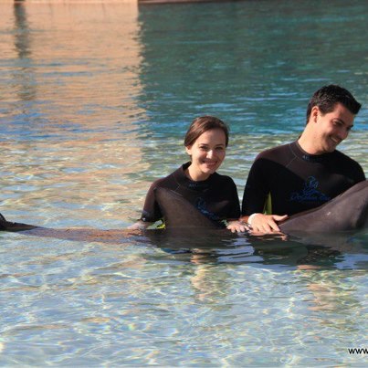 41 delfin