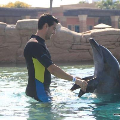 42 delfin
