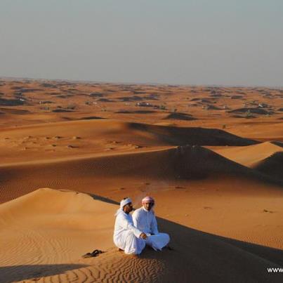 46 desert