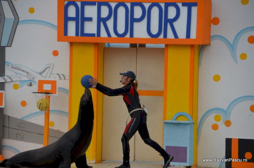 Leu de mare lângă artist și decor aeroportuar