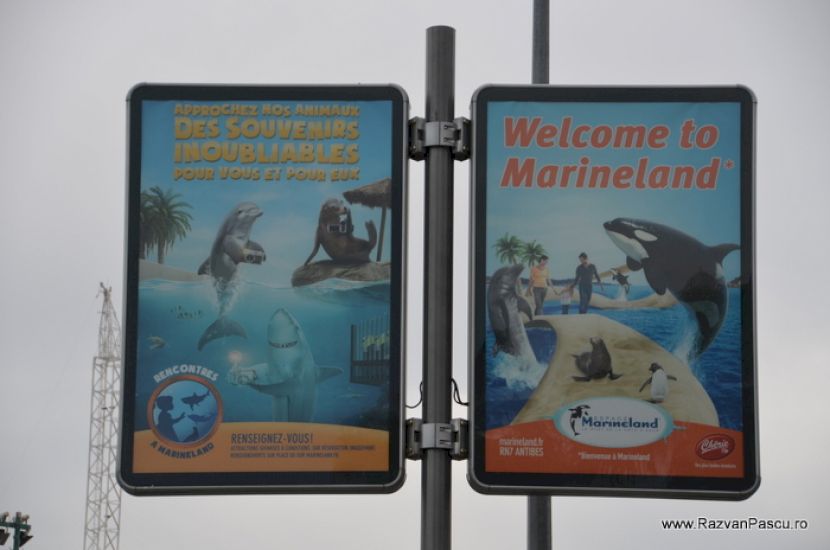 Panouri cu delfini și inscripția Welcome to Marineland