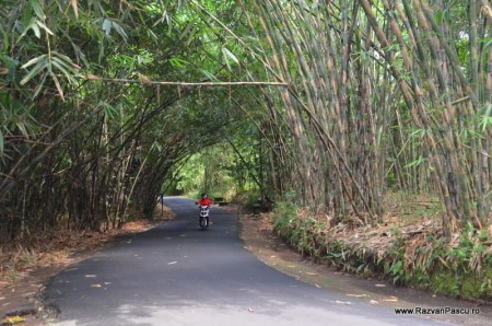 Bali pagina 16