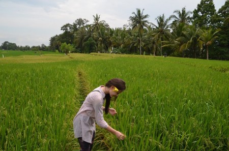 Bali personal 10