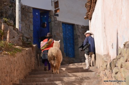 Cusco Peru 27