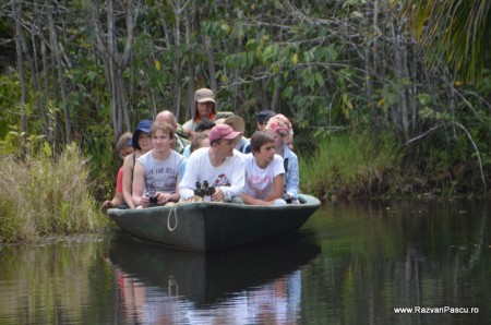 Peru, Amazon jungle 4
