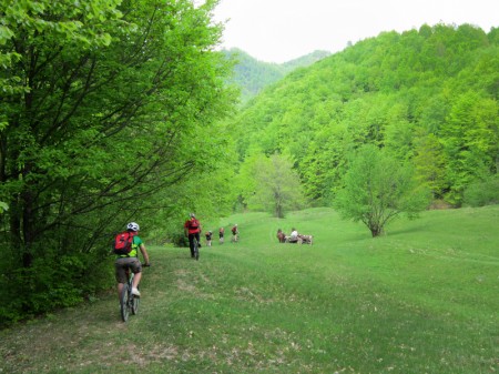 Maramures 1