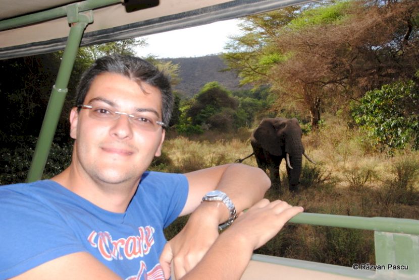 Bărbat într-un vehicul deschis, cu elefant în spate