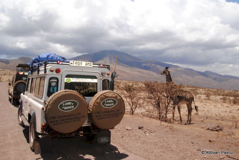 Vehicul de safari lângă o girafă pe teren uscat