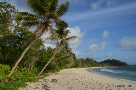 Seychelles 12