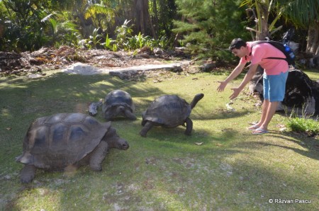 Seychelles - Curieuse, Cousin si St. Pierre 7