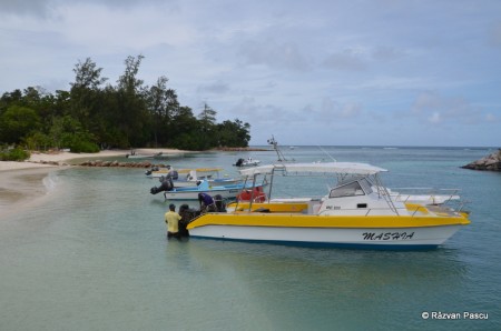 Seychelles, insula La Digue 2