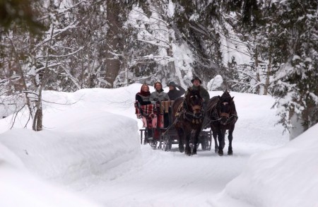 Schlittenfahrt in Saalbach Hinterglemm Leogang