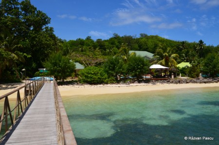 Seychelles, Cerf Island 10