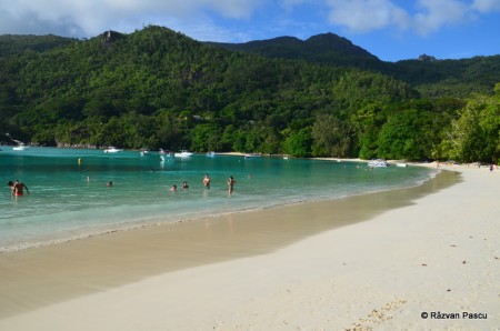 Seychelles, luna de miere 5