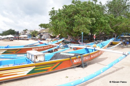 Insula Bali 13