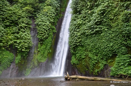 Insula Bali 16