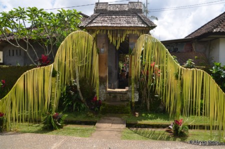 Insula Bali 26
