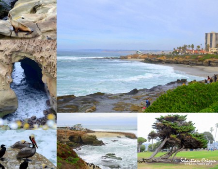 San Diego jolla