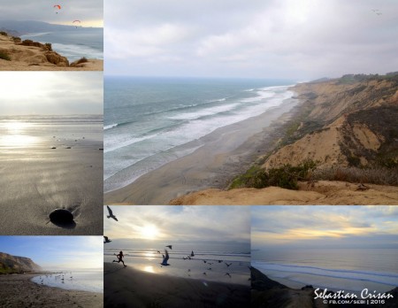 Torrey Pines State Natural Reserve