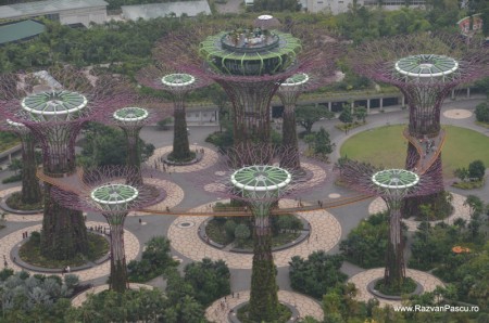 Singapore 10