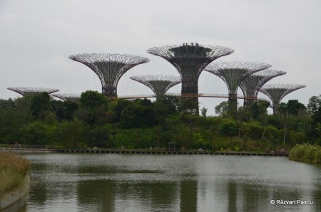Singapore 5