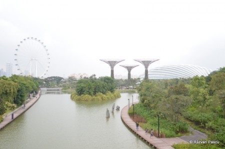 Singapore 6