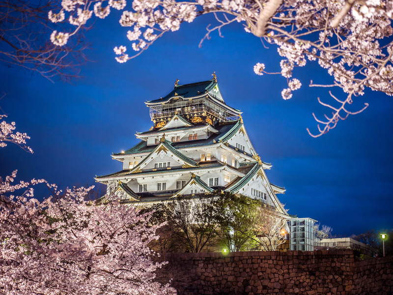Castelul Osaka înconjurat de cireși cu flori roz