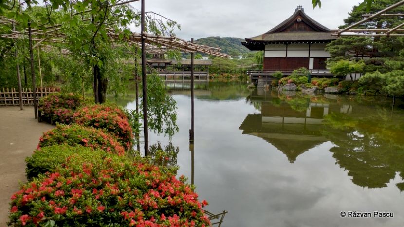 Grădină cu flori roșii și pavilion lângă lac