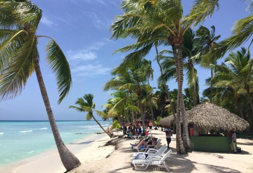 Saona 1