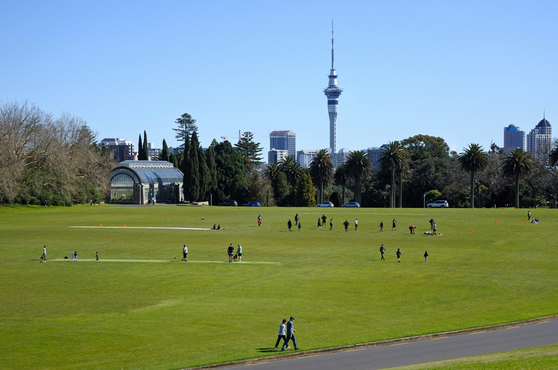Pajiște în Auckland Domain, cu turn urban în depărtare