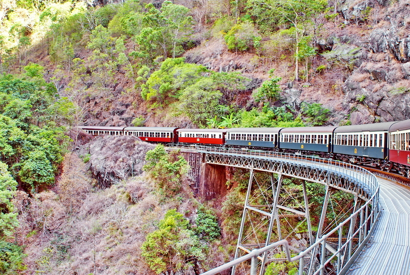 Tren pe un viaduct curbat, lângă un versant verde