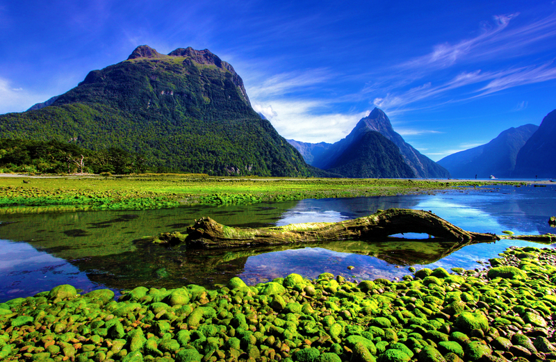 Munți și vegetație reflectate în apele de la Milford Sound