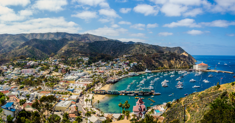 Oraș pe coastă și port cu bărci în Tortola