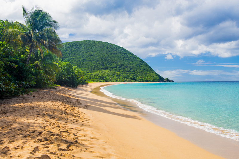 Plajă cu nisip și vegetație tropicală în Guadelupa