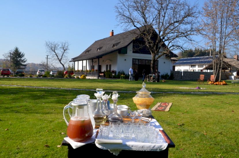 Masă pregătită în grădină, cu o casă în fundal