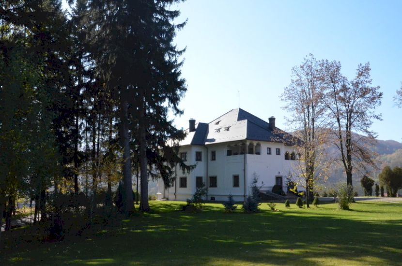 Conac alb între arbori, sub cer albastru