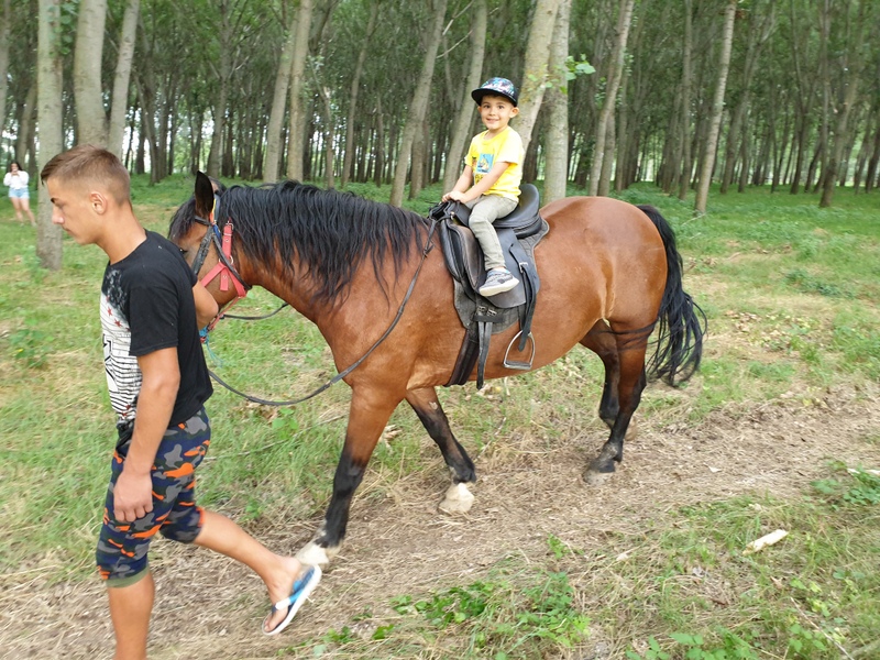 Adult conducând un cal cu copil călare