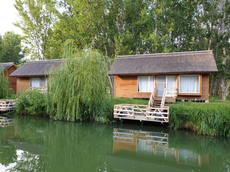 Cabană de lemn cu verandă lângă salcie și apă