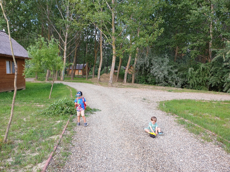 Copii pe o alee pietruită lângă pădure