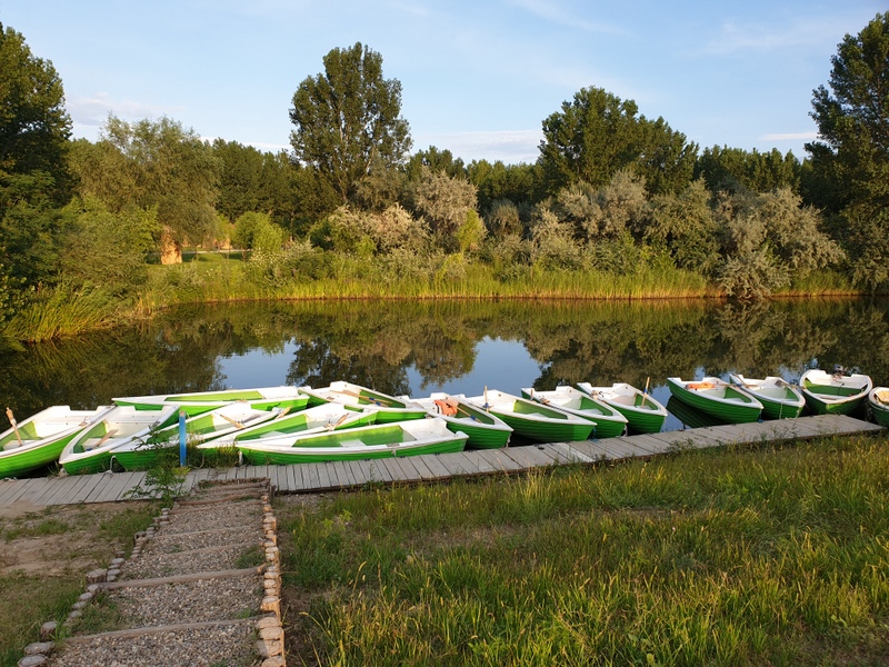 Caiace colorate pe malul unui lac liniștit