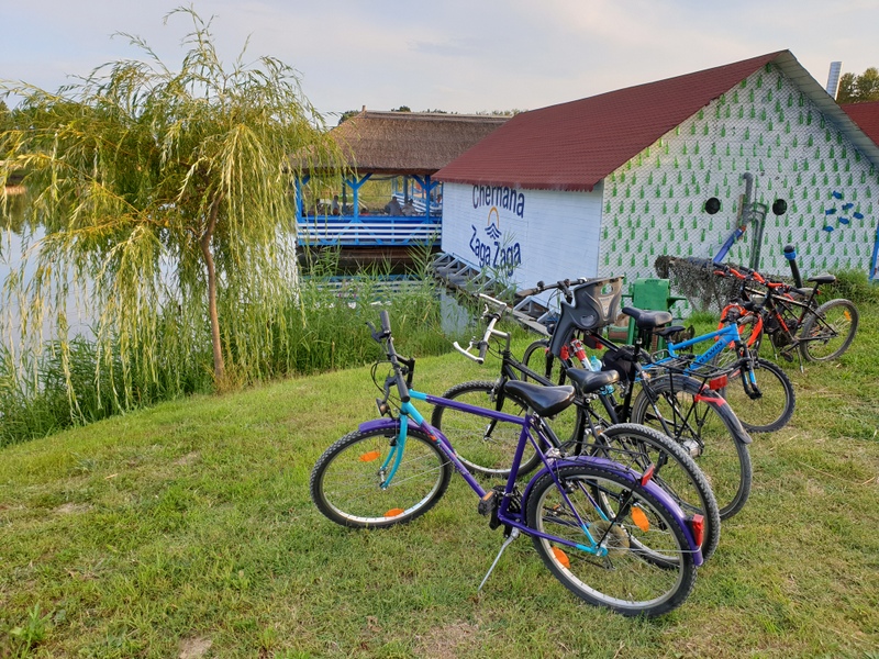 Biciclete aliniate pe iarbă lângă clădiri