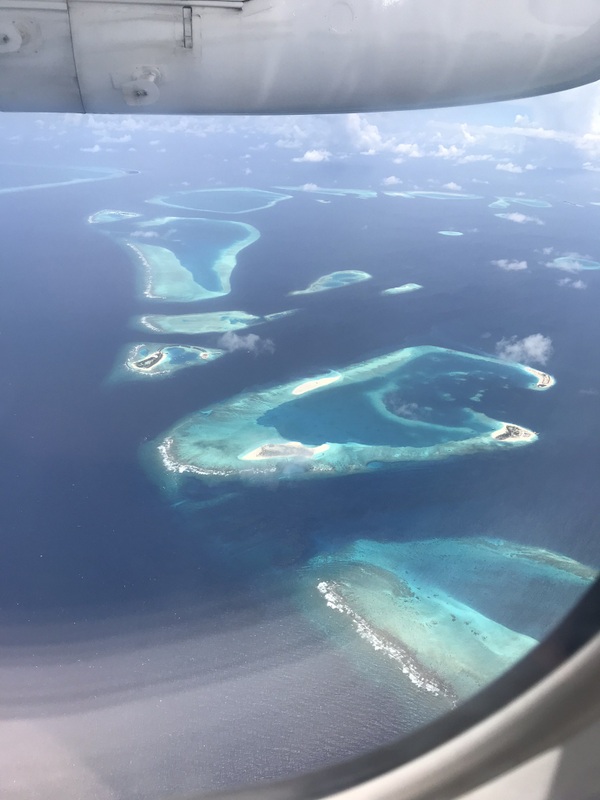 Insule verzi și recife în ocean, văzute de sus