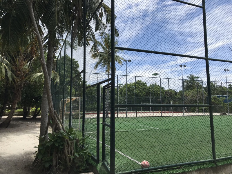 Teren de sport împrejmuit, lângă palmieri