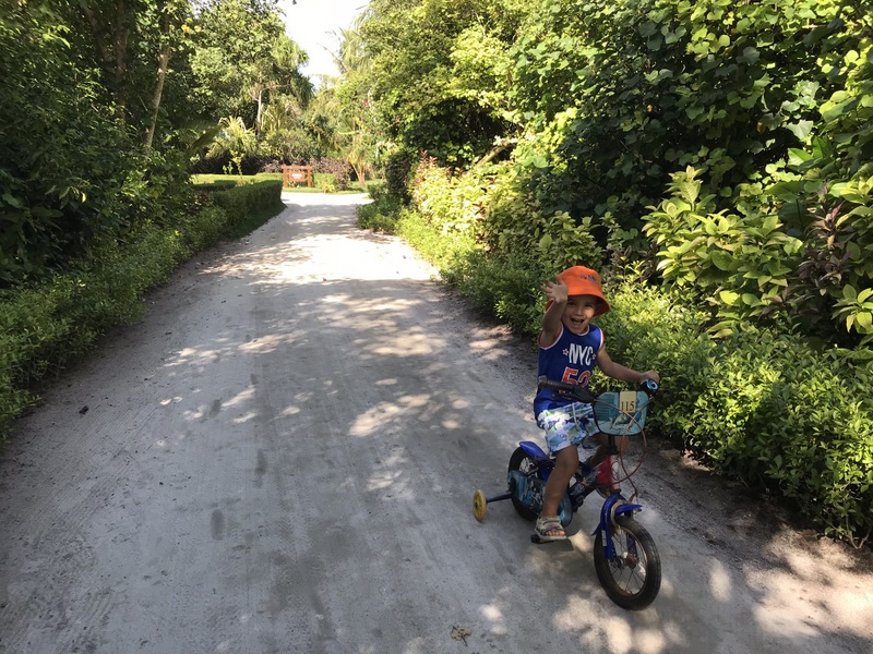 Copil cu bicicletă pe o alee umbrită