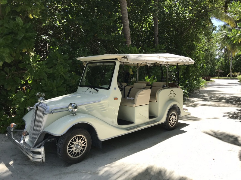 Vehicul electric alb pe o alee tropicală